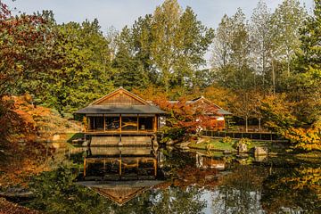 Herfst in de Japanse Tuin in Hasselt (B) van Martine Dignef