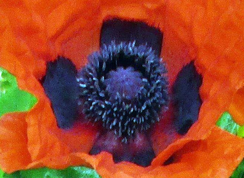 Sommer1 von usch ziegler