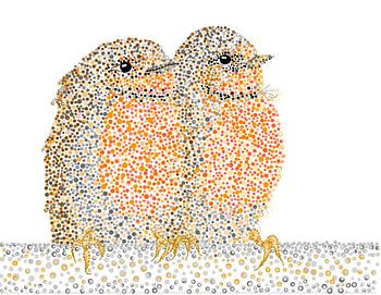 Deux rouges-gorges sur une barre de fer. Côte à côte, bien au chaud et fraternels.