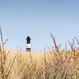 Der Leuchtturm von Breskens, versteckt im Dünengras von Claire van Dun