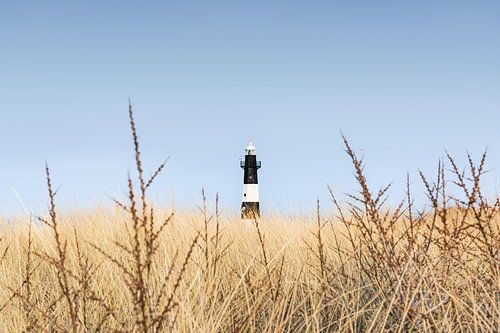 Der Leuchtturm von Breskens, versteckt im Dünengras von Claire van Dun