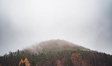 Autumn in the Palatinate