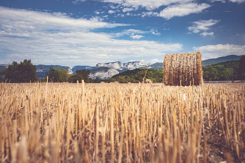 Berglandschaft mit Feldern gefüllt mit Heuballen
