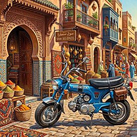 Op pad in Marrakesh van DeVerviersBelgium