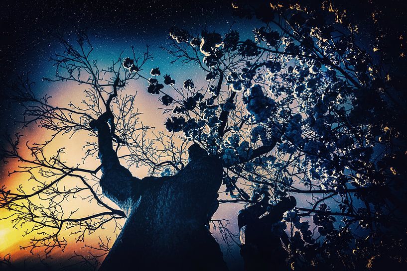 Surreal, starry night - Dystopia Utopia by Jakob Baranowski - Photography - Video - Photoshop