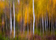 Abstract Fall, Andreas Christensen by 1x thumbnail
