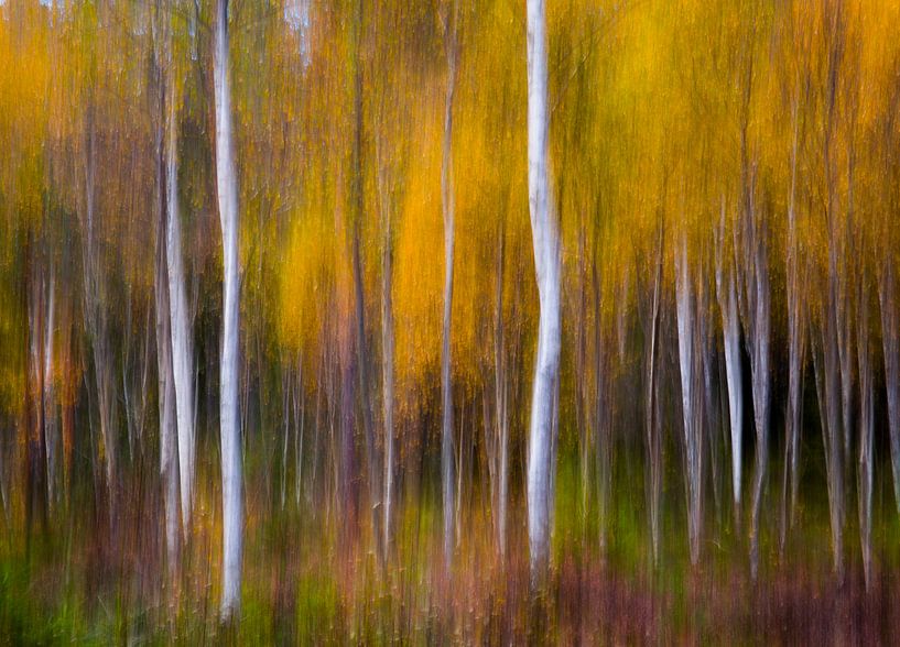 Abstract Fall, Andreas Christensen by 1x