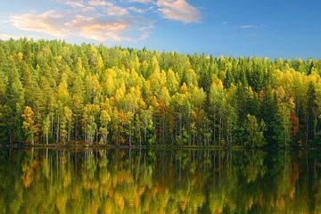 Lake in Sweden with Reflection of the Trees