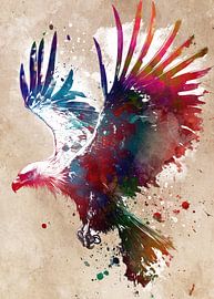 Adler Vogel Kunst von JBJart Justyna Jaszke