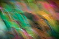 Een kleurenspel van verbeelding