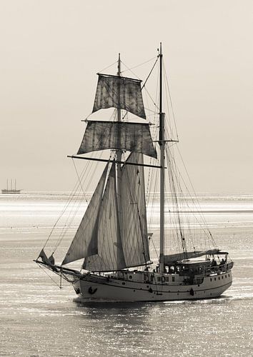 Voilier sur la mer des Wadden.
