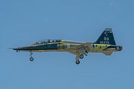 Northrop T-38 Talon vlak voor de landing bij Randolph AFB in Texas, eind 2019. van Jaap van den Berg thumbnail