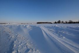 Snowdrifts near Neukamp, Putbus, Island of Rügen by GH Foto & Artdesign
