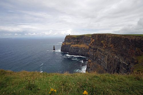 Cliff's of Moher - Ierland