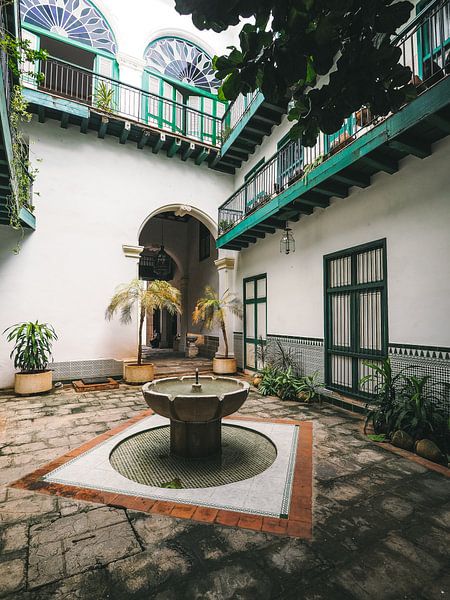 Fontein op binnenplaats (courtyard) in gerestaureerd authentiek gebouw in Havana, Cuba van Michiel Dros