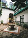 Fontein op binnenplaats (courtyard) in gerestaureerd authentiek gebouw in Havana, Cuba van Michiel Dros thumbnail