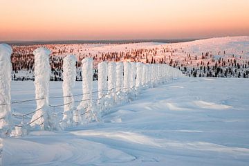 Lapland bij zonsopkomst en zonsondergang - winter wonder land