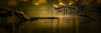 Takken in water Bantam