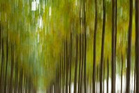 Paysage abstrait