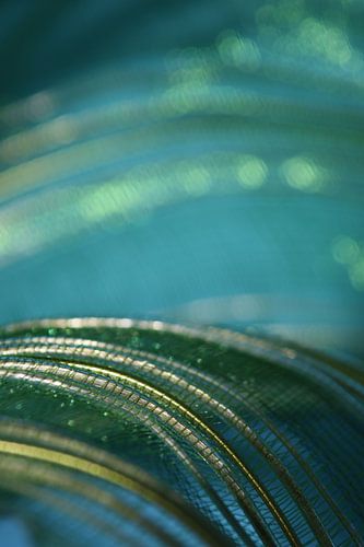 Wave turquoise by Nanda Engel