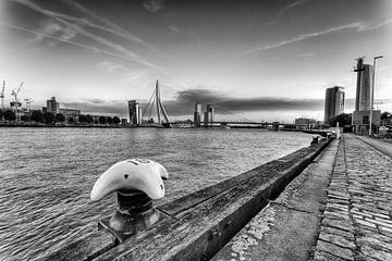 Zicht op Rotterdam
