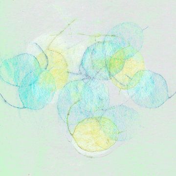 Zilverblad in citroenkleuren en turkoois