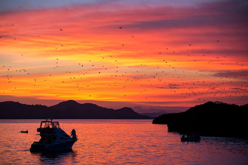 Bats fly away during sunset - Flores Indonesia by Michiel Ton