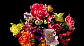 Tulips in black by Karin Cijsouw