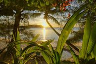 Zonsondergang op een idyllisch tropisch strand van Joran Quinten thumbnail