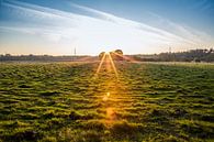 Sunset by Julian Buijzen thumbnail