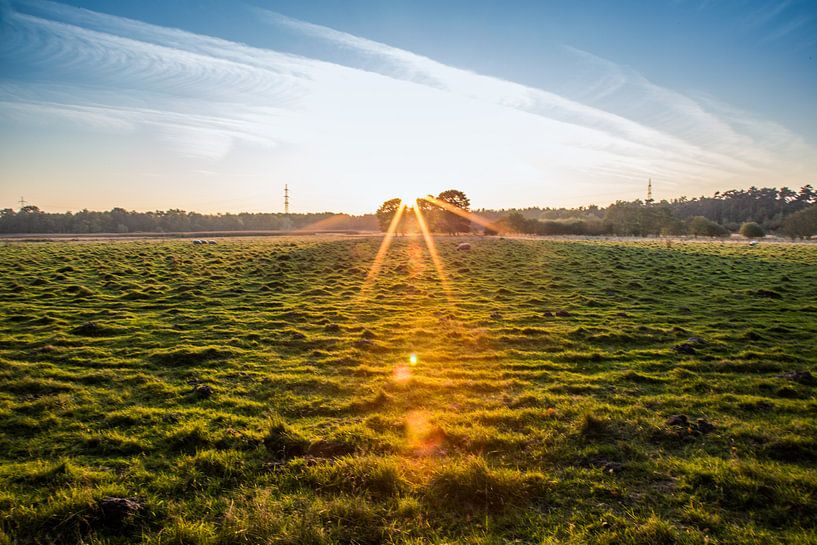 Sunset by Julian Buijzen