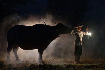 Agriculteur avec son buffle d'eau dans l'obscurité sur Anges van der Logt