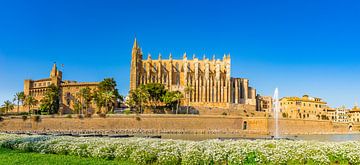 Spanje, panoramisch uitzicht op kathedraal La Seu in de historische oude stad van Alex Winter