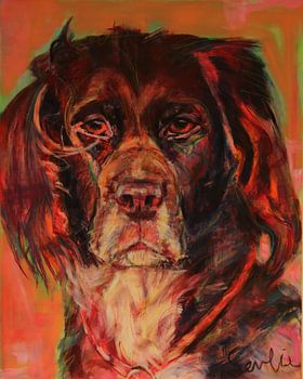 Kleine münsterländer