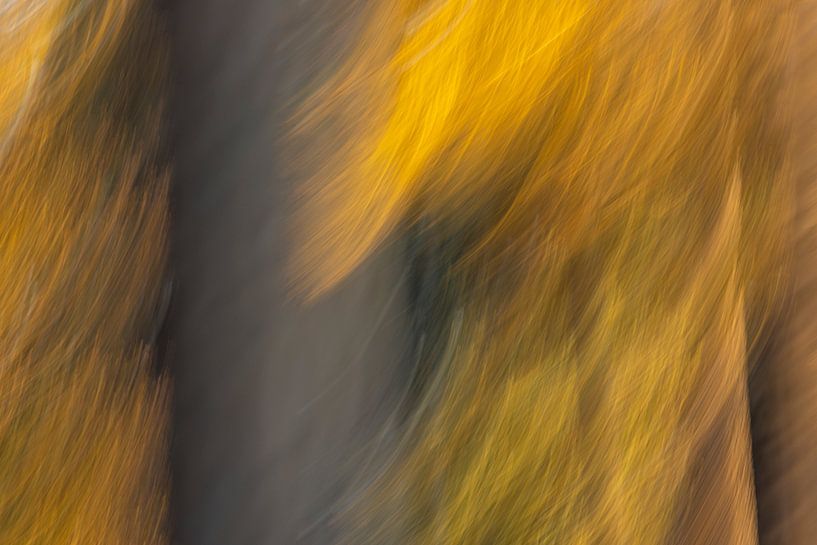 Wald in Bewegung (abstrakte Kunst) von Karla Leeftink