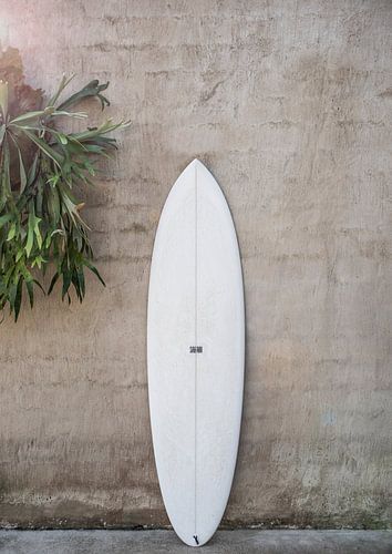 White Surfboard