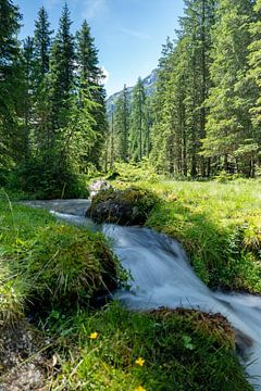 Ruisseau de montagne avec l'eau de fonte des montagnes sur chamois huntress