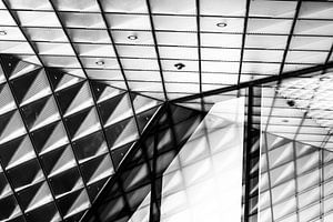 Glazen gevel van Futurium Berlijn zwart-wit
