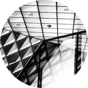 Glazen gevel van Futurium Berlijn zwart-wit