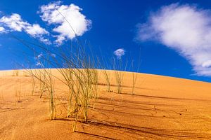 Dune de sable avec des brins d'herbe sur VIDEOMUNDUM