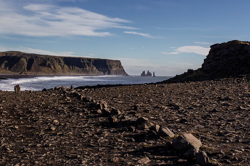 Iceland by Eric van Nieuwland