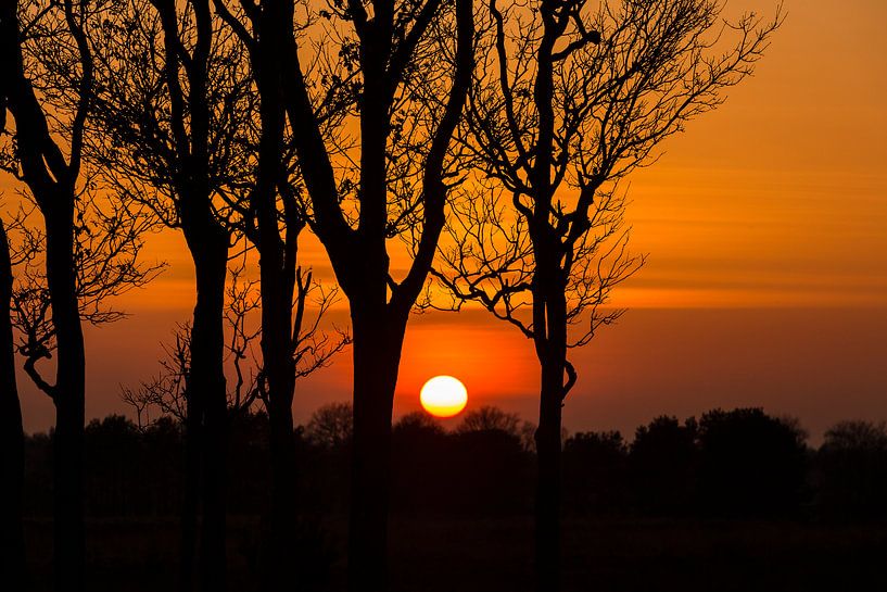 Sunset by André Dorst