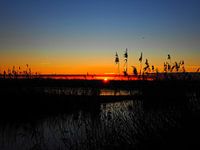 Märchenhafter Sonnenaufgang