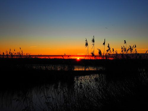 Lever de soleil féerique
