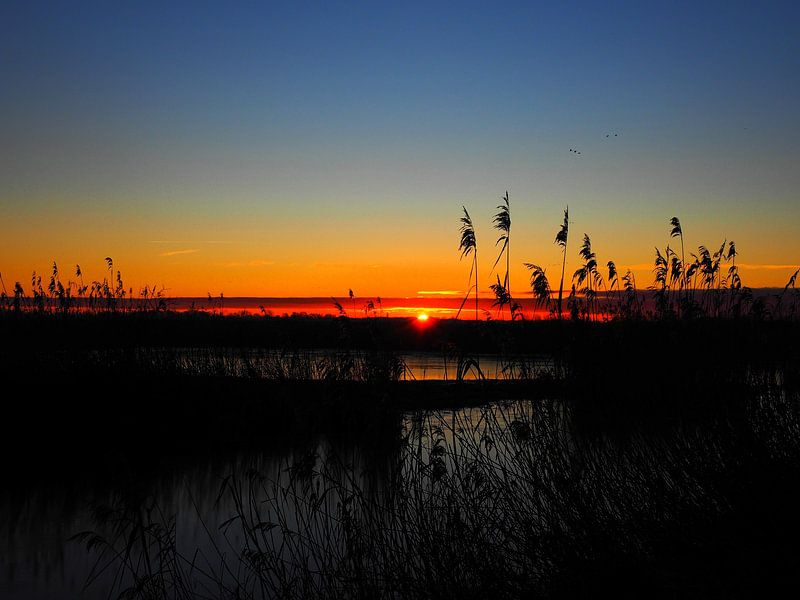 Zonsopkomst van Janny Talhout