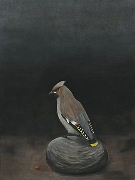 Pestvogel, Bombycilla garrulus van Helga Pohlen - ThingArt