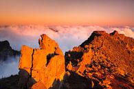 Vulkaanlandschap bij zonsondergang, La Palma, Canarische Eilanden, Spanje van Markus Lange thumbnail