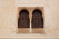 Alhambra Nasridenpaläste 3 von Russell Hinckley Miniaturansicht