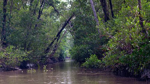 Plantation Bakkie in Suriname