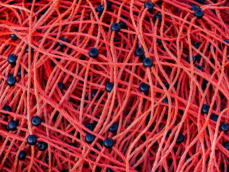 Tangled par Patty Elferink